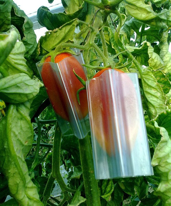форма для фигурных овощей - томат